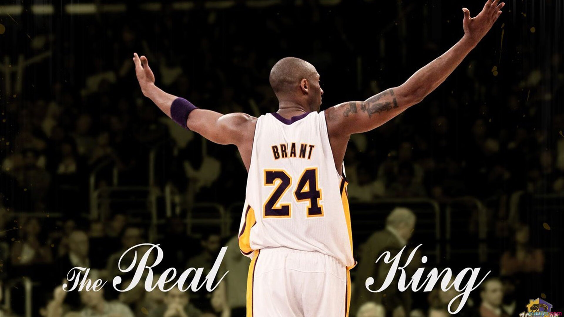 开云体育vip-史上“最疯狂”的单场得分纪录，谁能重现？，单场得分最高的球员排名